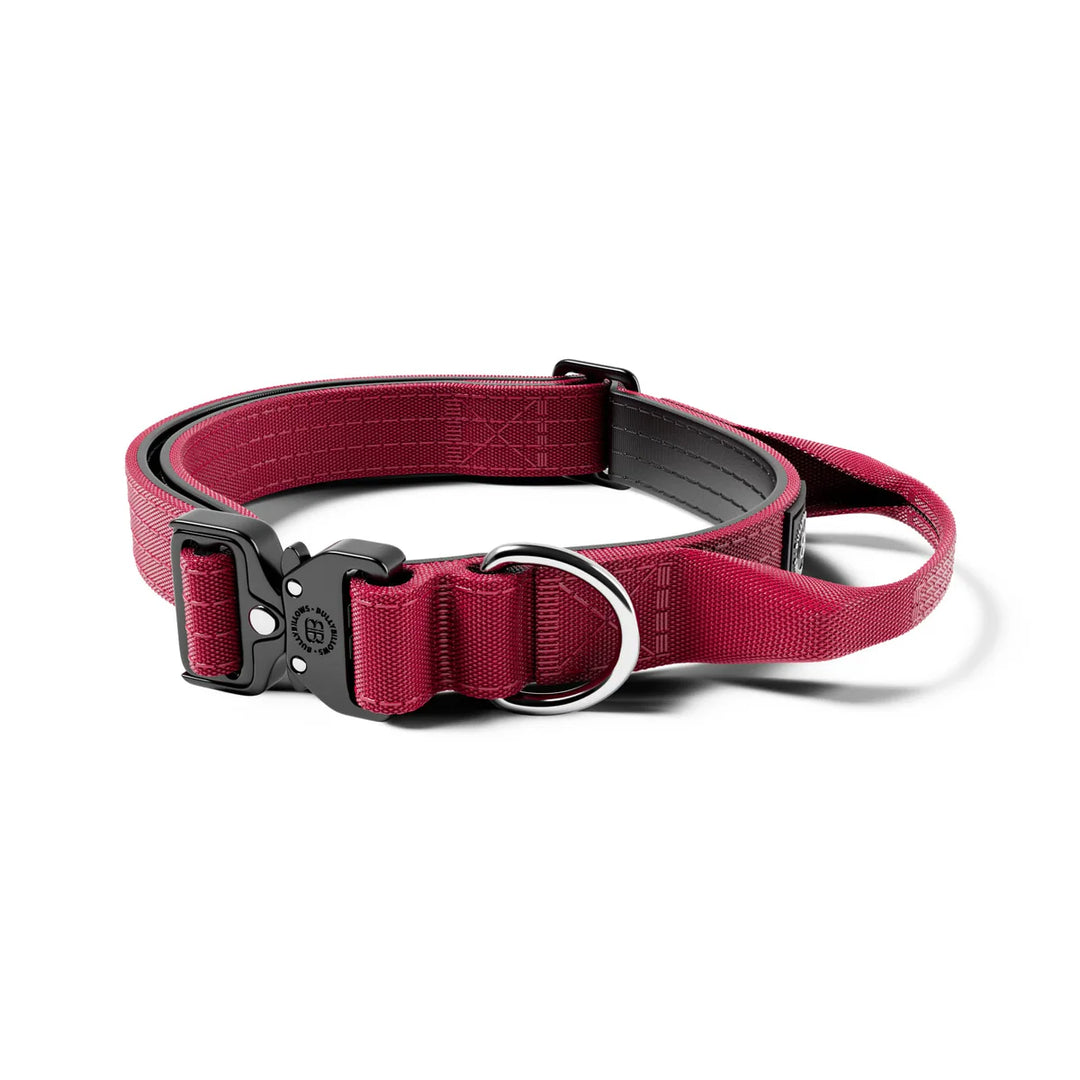 Kaelarihm Combat kinnitusega Bullybillows 2,5cm bordoo