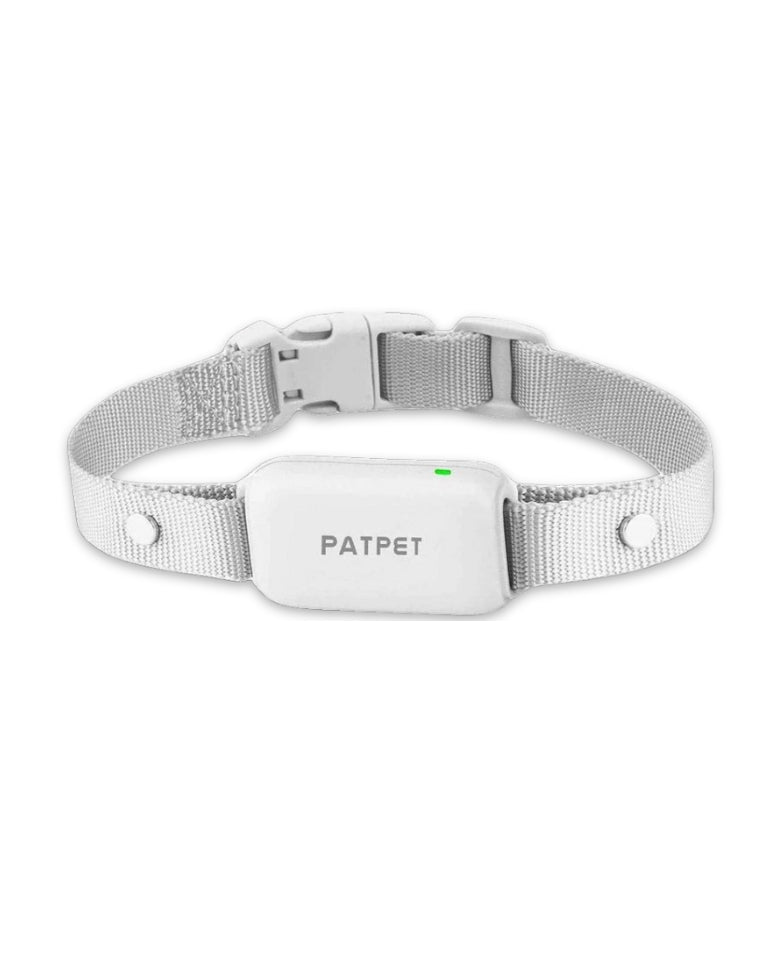 Lisa kaelarihm Patpet F4