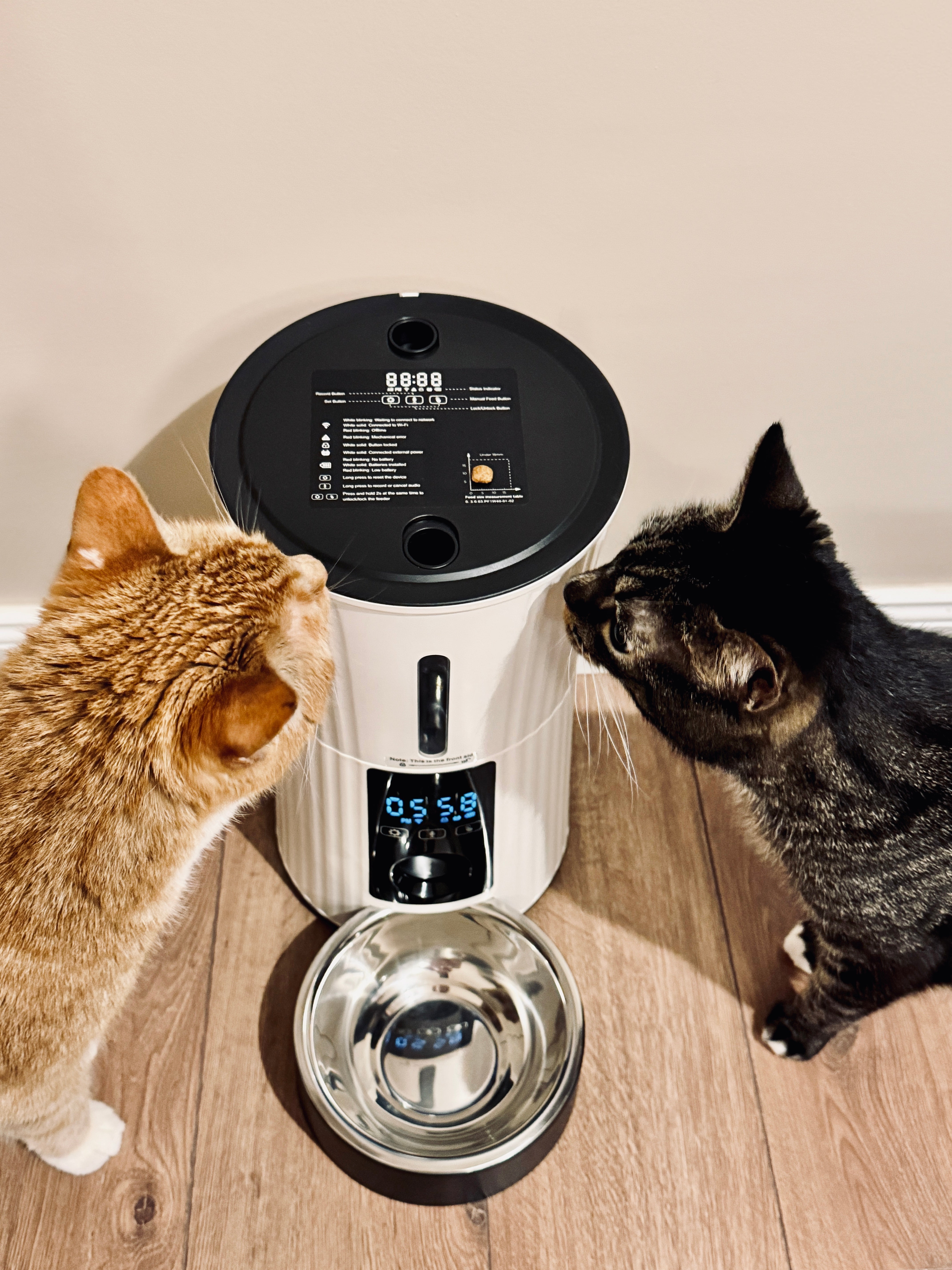 Nutikas ning töökondel söötja sinu lemmikule