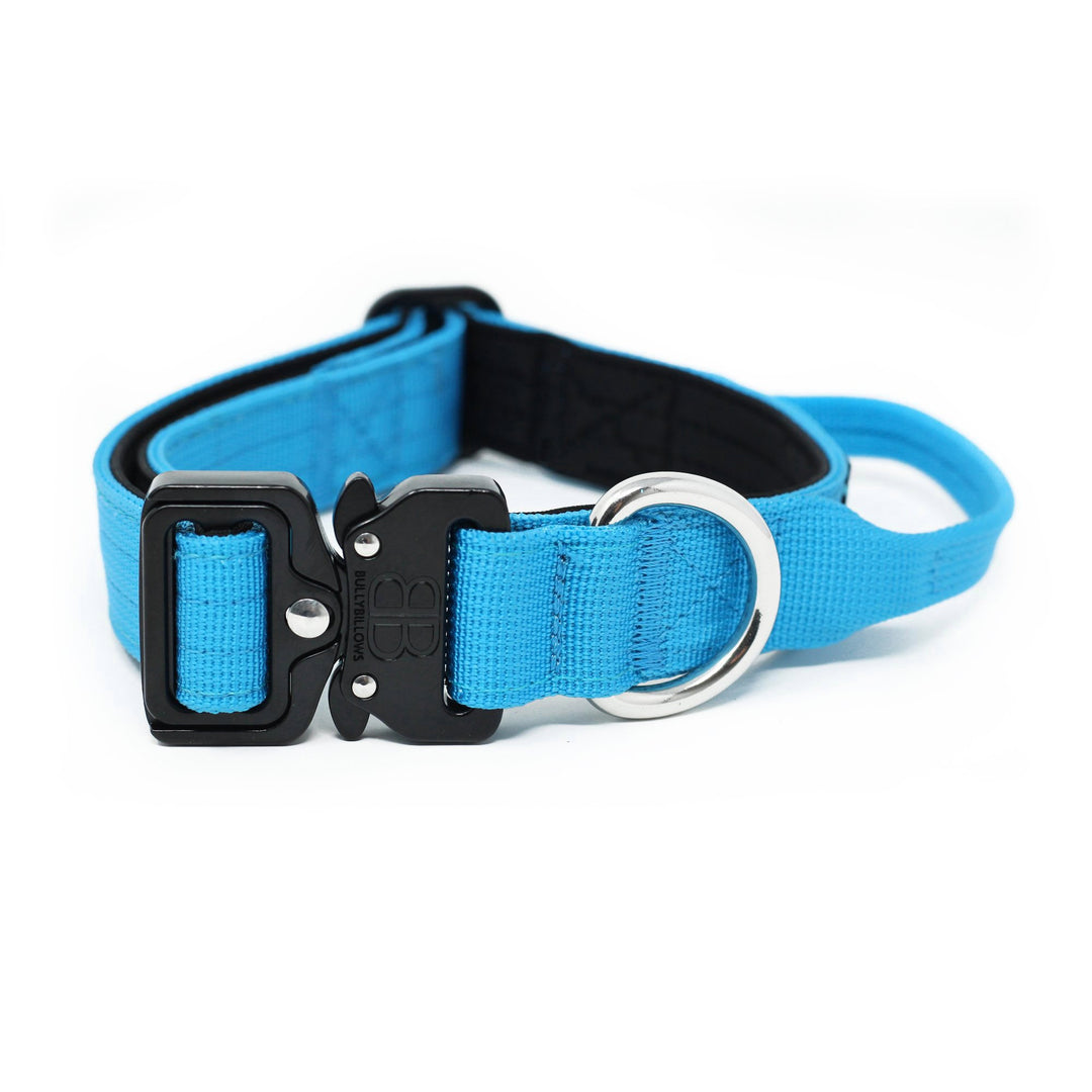 Kaelearihm koertele Bullybillows Combat 2,5cm