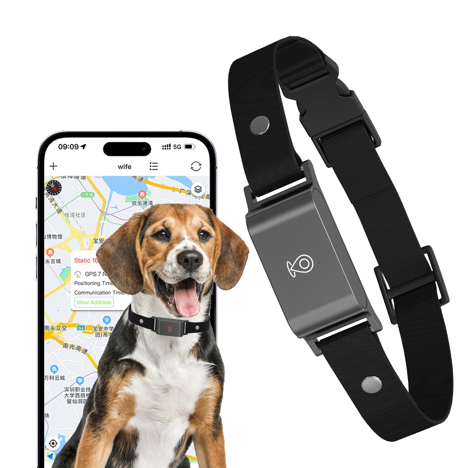 GPS Kaelarihmad