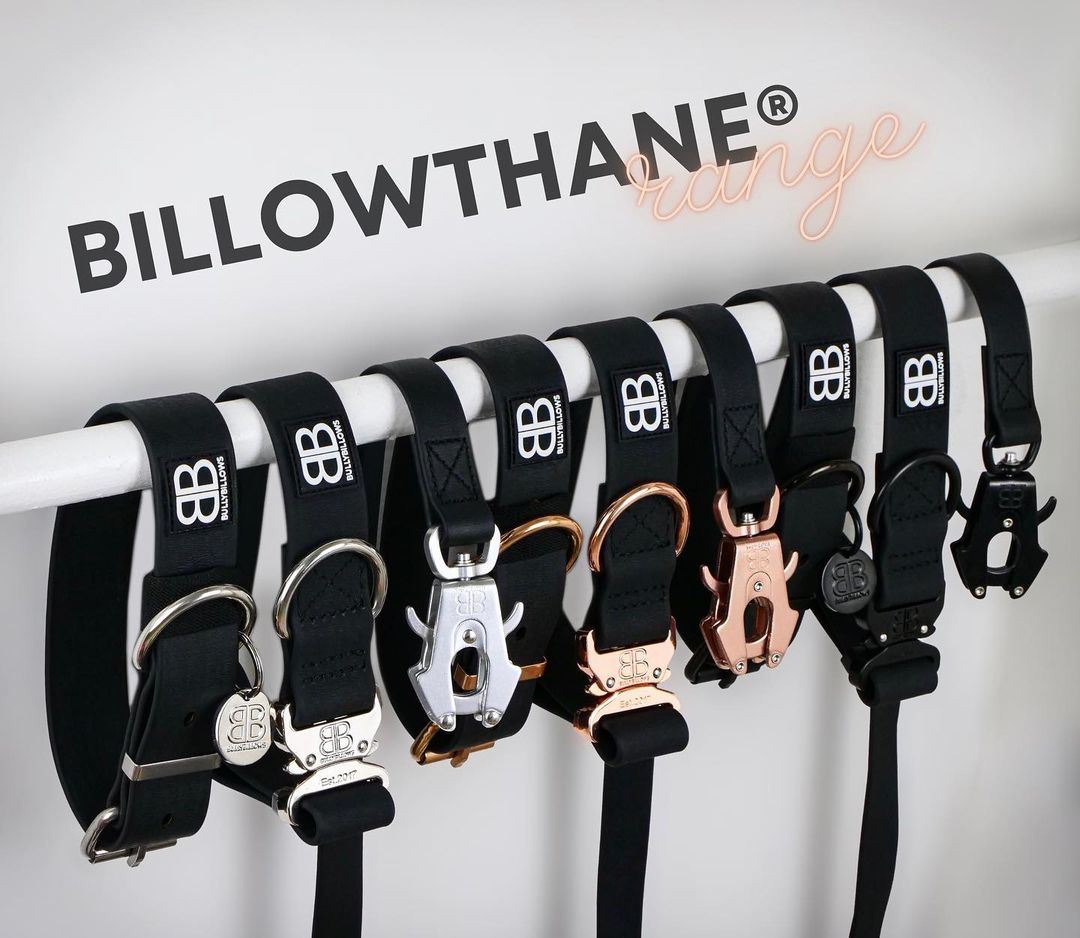 Koera traksid Premium Bullybillows