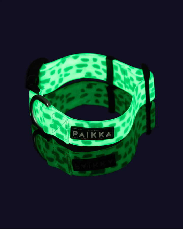 Kaelarihm helendav PAIKKA 2.0