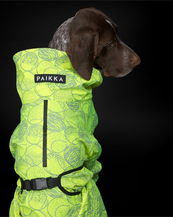 Vihmakombekas PAIKKA neoon