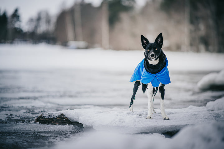 Talvejope Visibility PAIKKA sinine