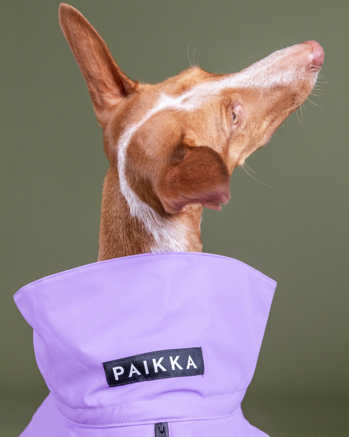 Talvejope Visibility PAIKKA lilla