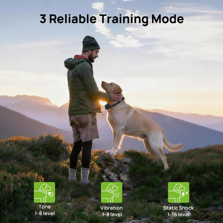 Mobiilne GPS raadiopiire T820 Pro Patpet
