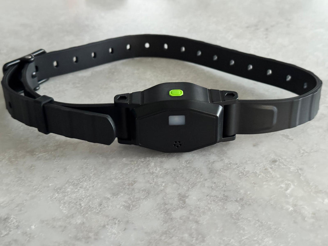 Mobiilne GPS raadiopiire T820 Pro Patpet