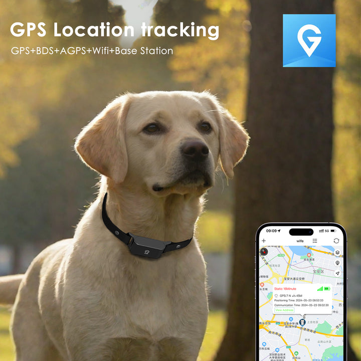 GPS-Jälgimisseade Koerale C9 Patpet
