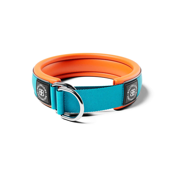 Kaelarihm Slip On Bullybillows 4cm Helesinine/Oranž