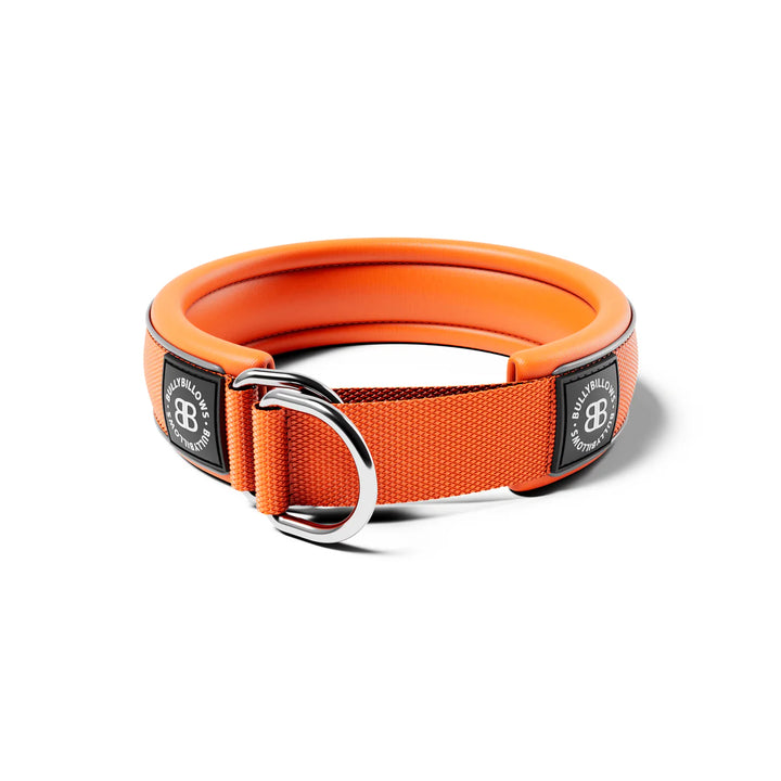 Kaelarihm Slip On Bullybillows 4cm oranž