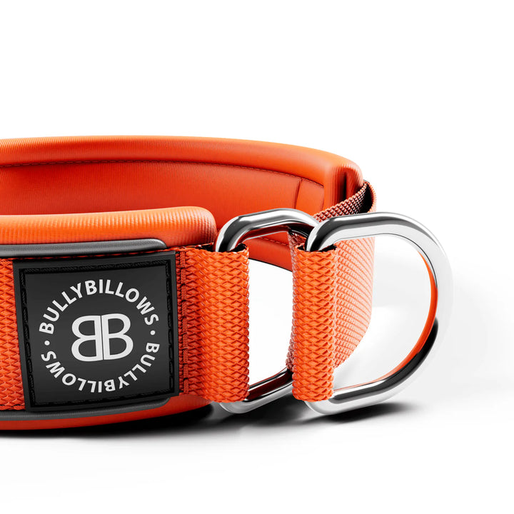Kaelarihm Slip On Bullybillows 4cm oranž