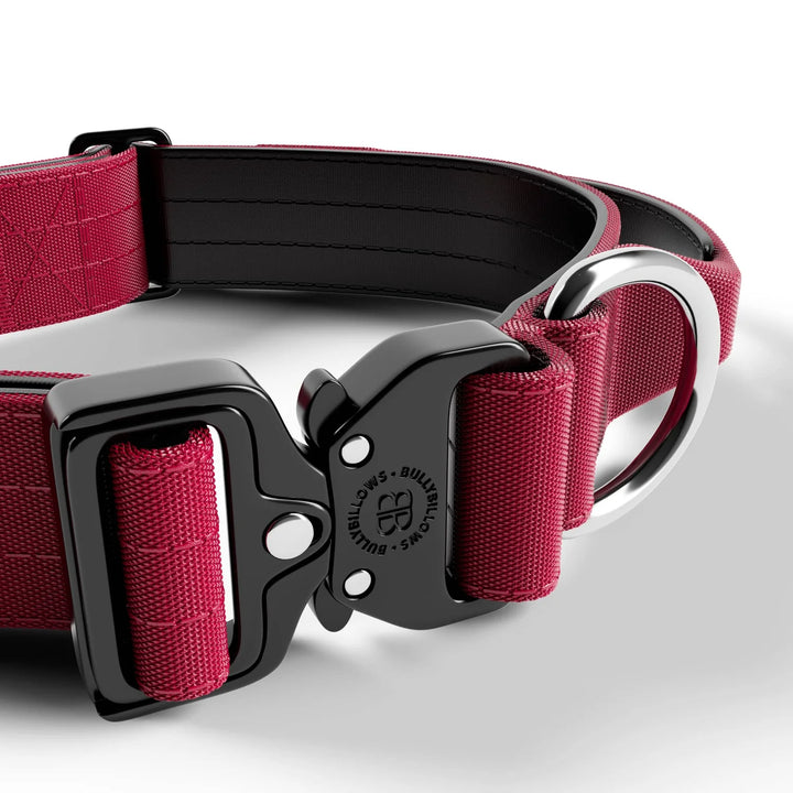 Kaelarihm Combat kinnitusega Bullybillows 4cm bordoo punane