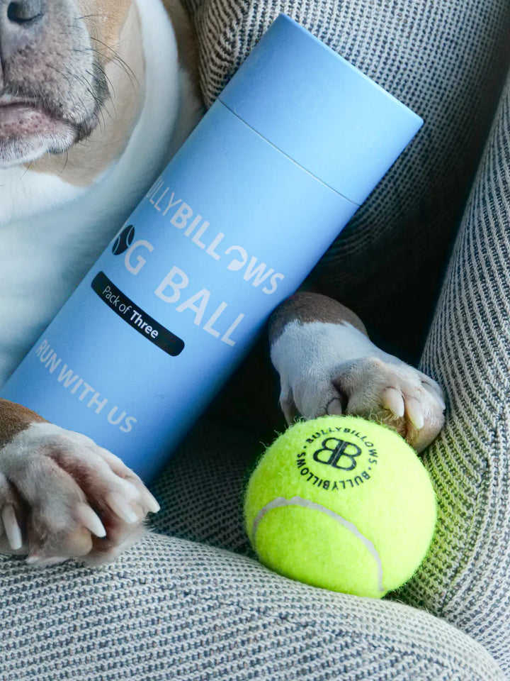Tennisepallid koerale Bullybillows 3tk