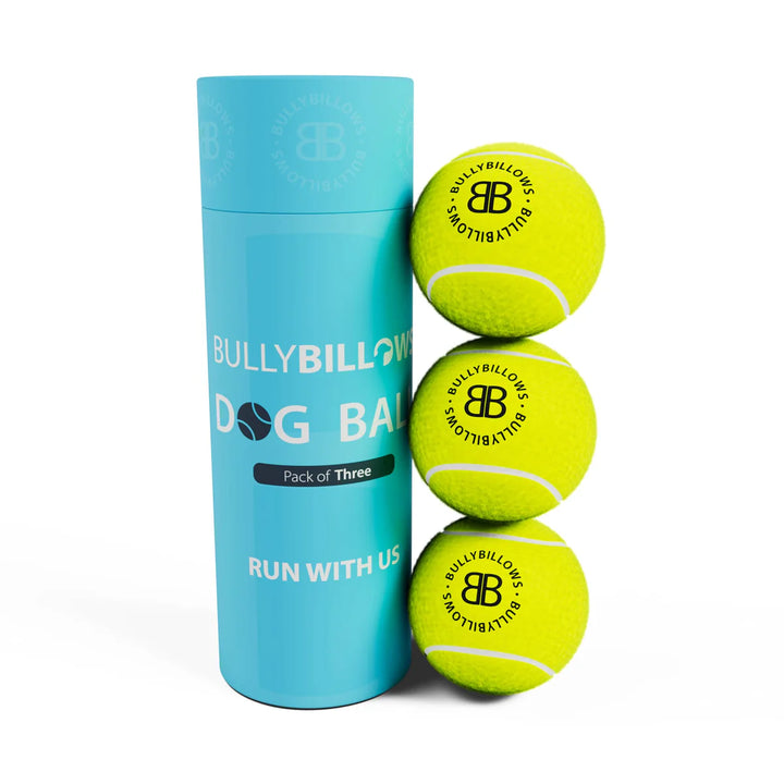 Tennisepallid koerale Bullybillows 3tk