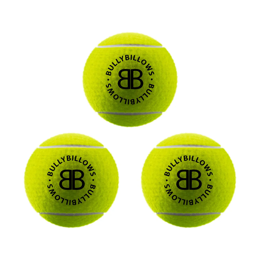 Tennisepallid koerale Bullybillows 3tk