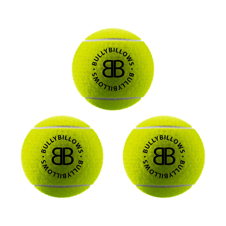 Tennisepallid koerale Bullybillows 3tk