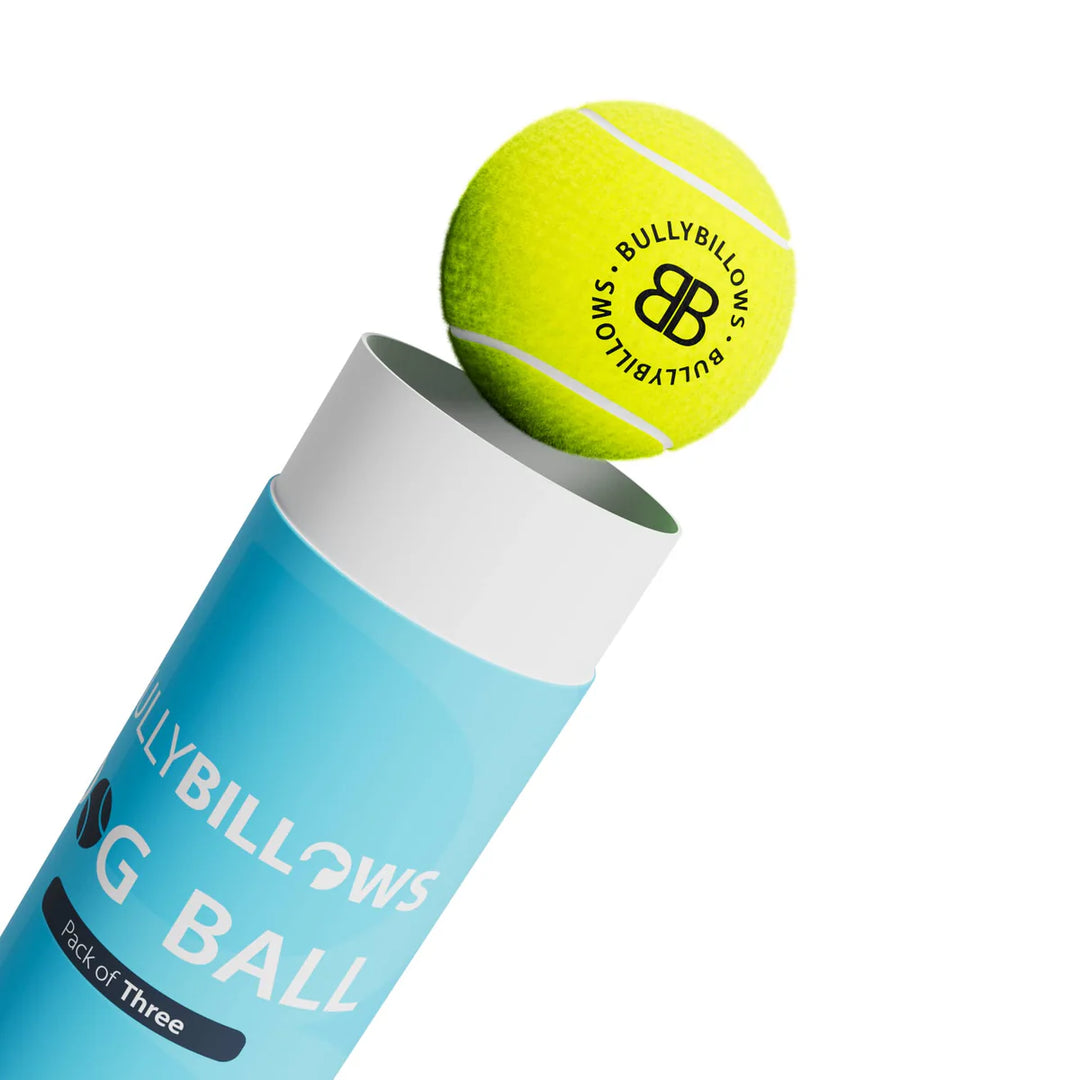 Tennisepallid koerale Bullybillows 3tk