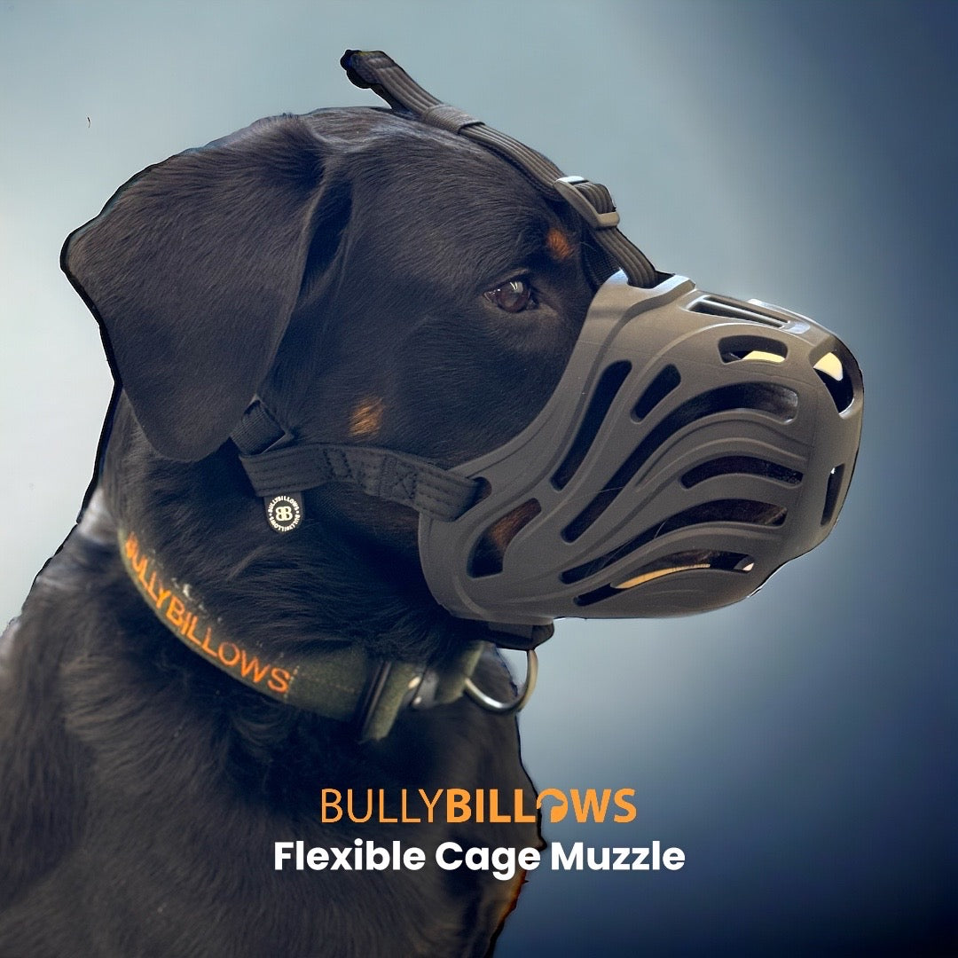 Suukorv Bullybillows must