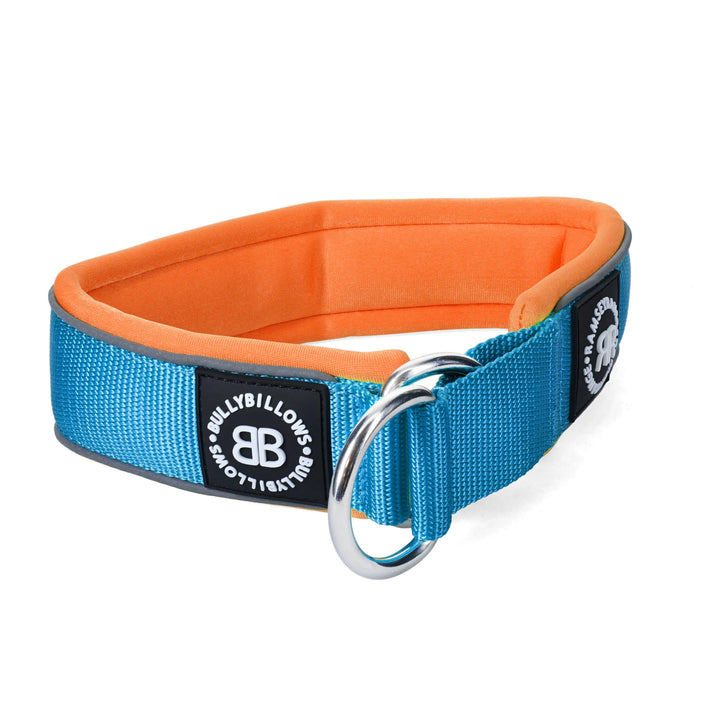 Kaelarihm Slip On Bullybillows 5cm Helesinine/Oranž