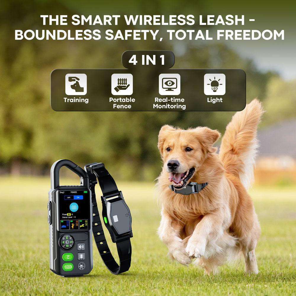 Mobiilne raadiopiire T810 Pro Patpet