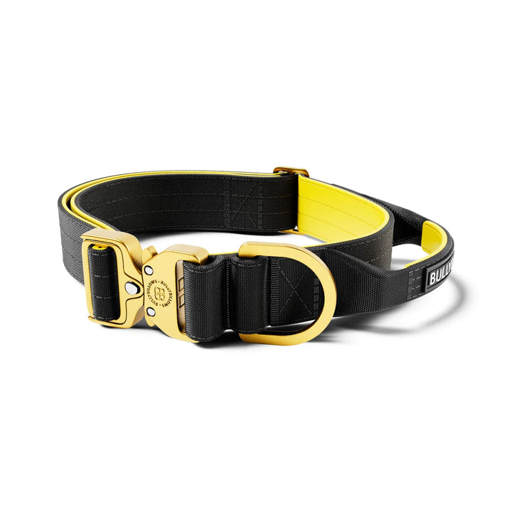 Kaelarihm kerge Combat kinnitusega Bullybillows 4cm must, kollane & kuldne