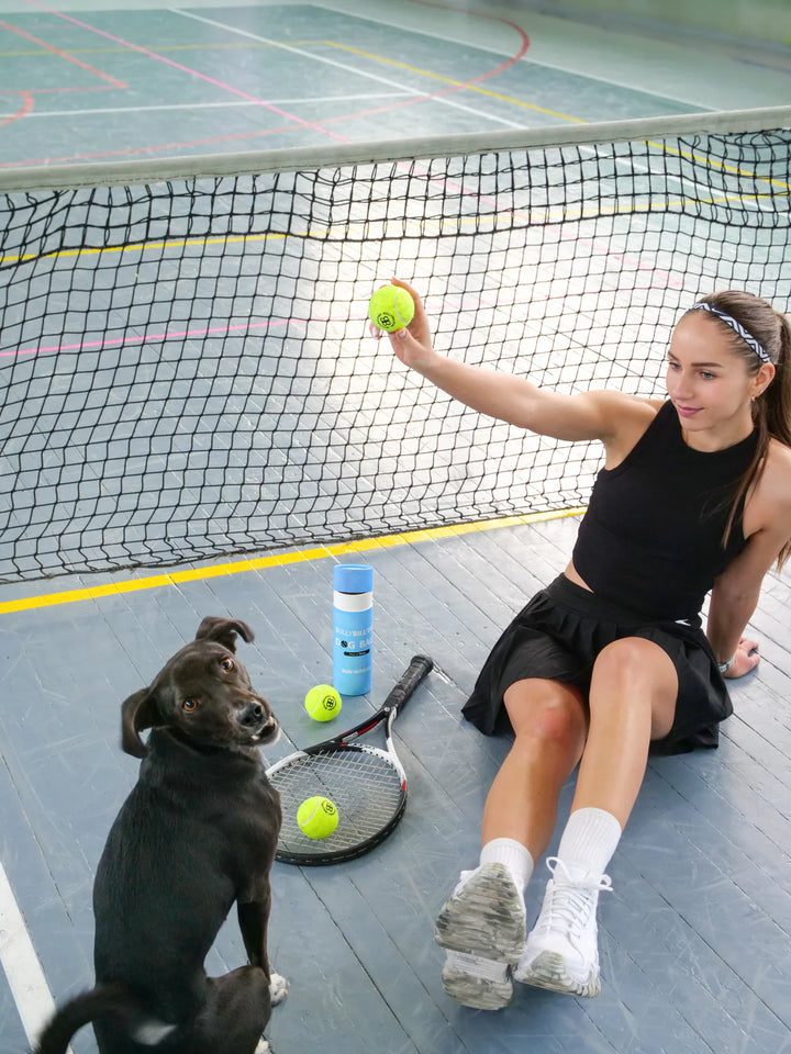Tennisepallid koerale Bullybillows 3tk