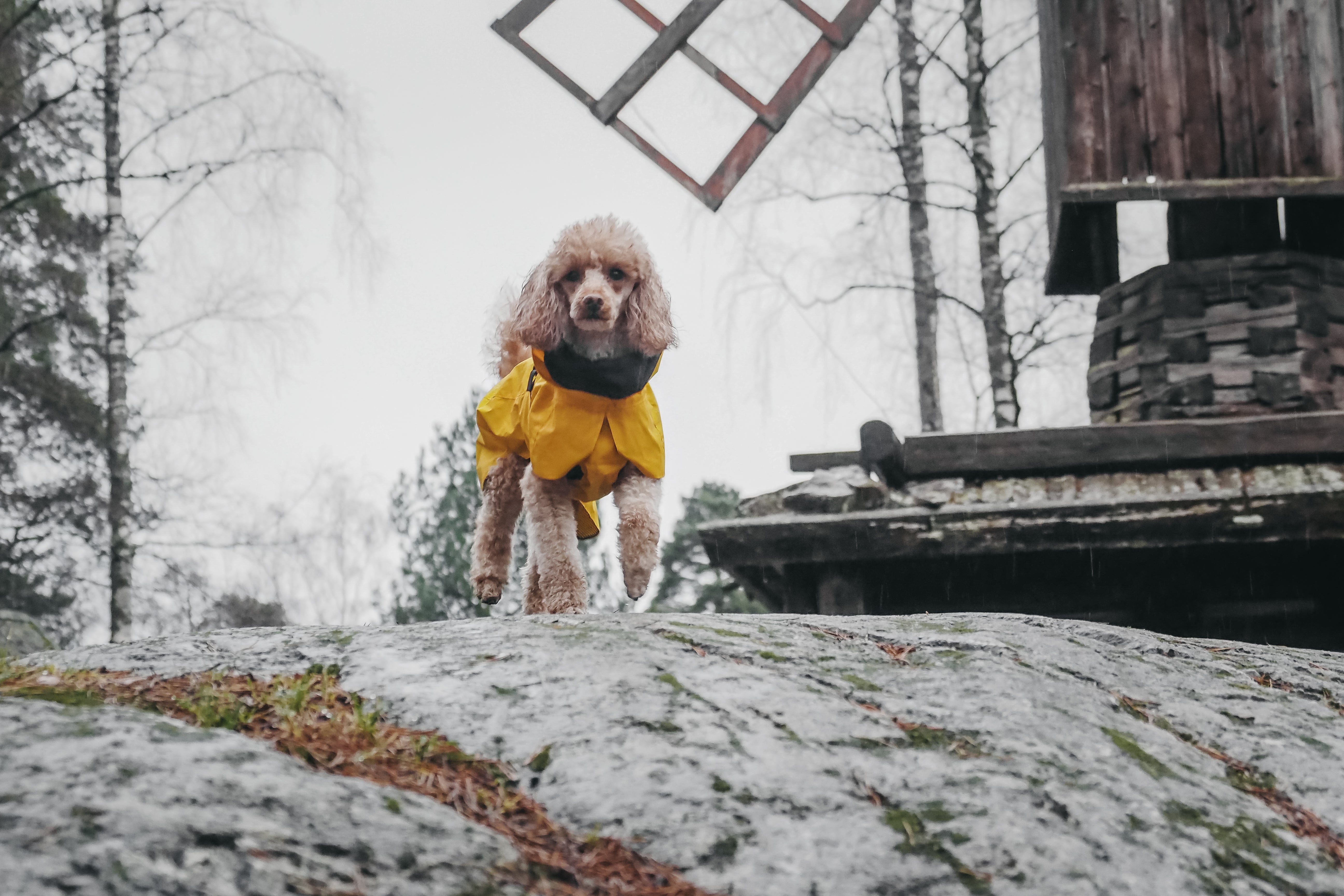 Vihmajope Visibility Lite PAIKKA kollane