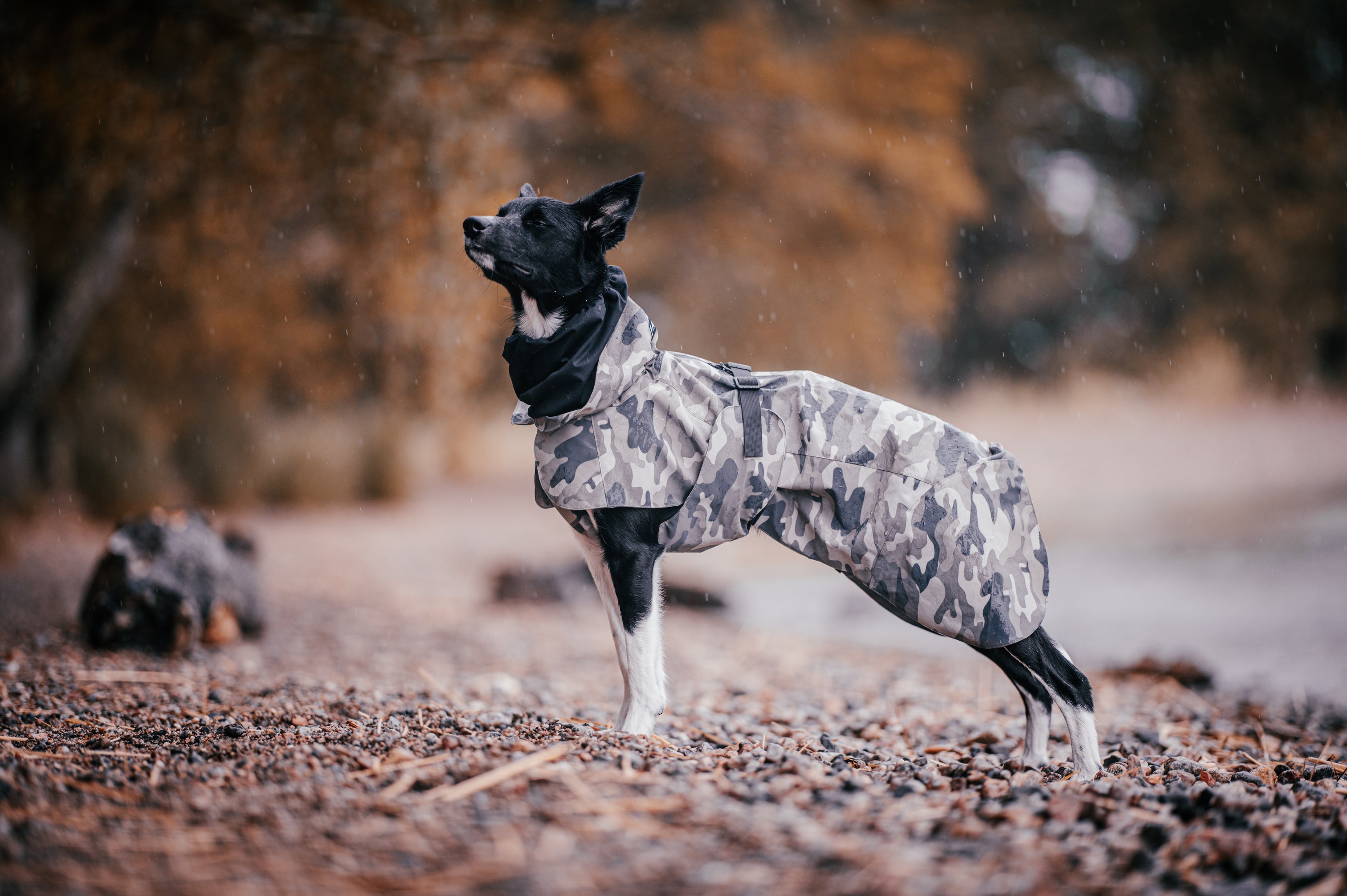 Vihmajope Recovery  PAIKKA camo