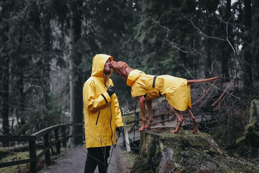 Vihmajope Visibility naistele PAIKKA kollane