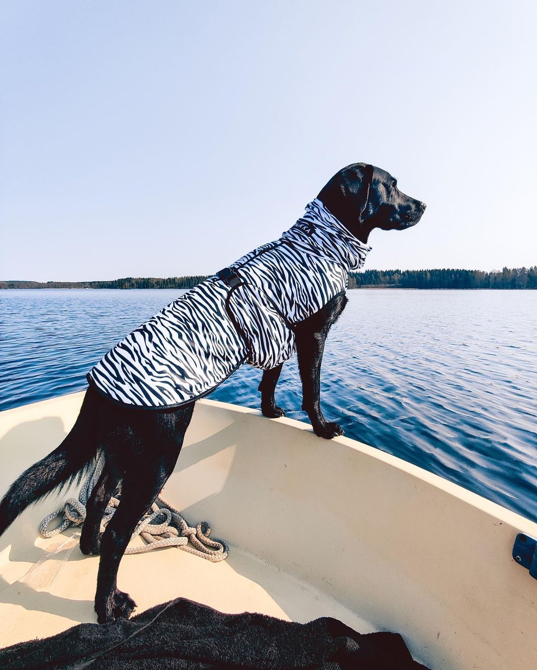 PAIKKA jahutav ja putukate vastane vest