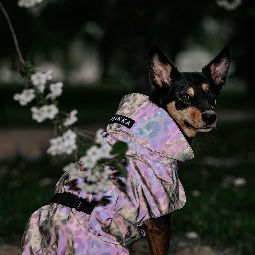 Vihmajope Recovery  PAIKKA camo