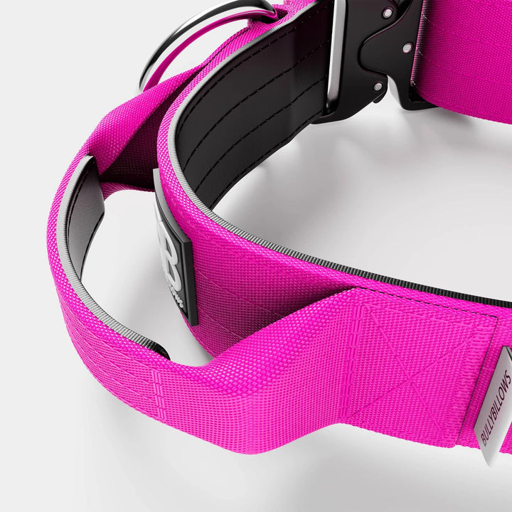 Kaelarihm Combat kinnitusega Bullybillows 4cm magenta