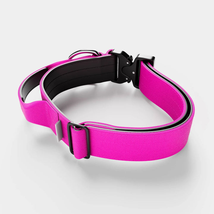 Kaelarihm Combat kinnitusega Bullybillows 4cm magenta