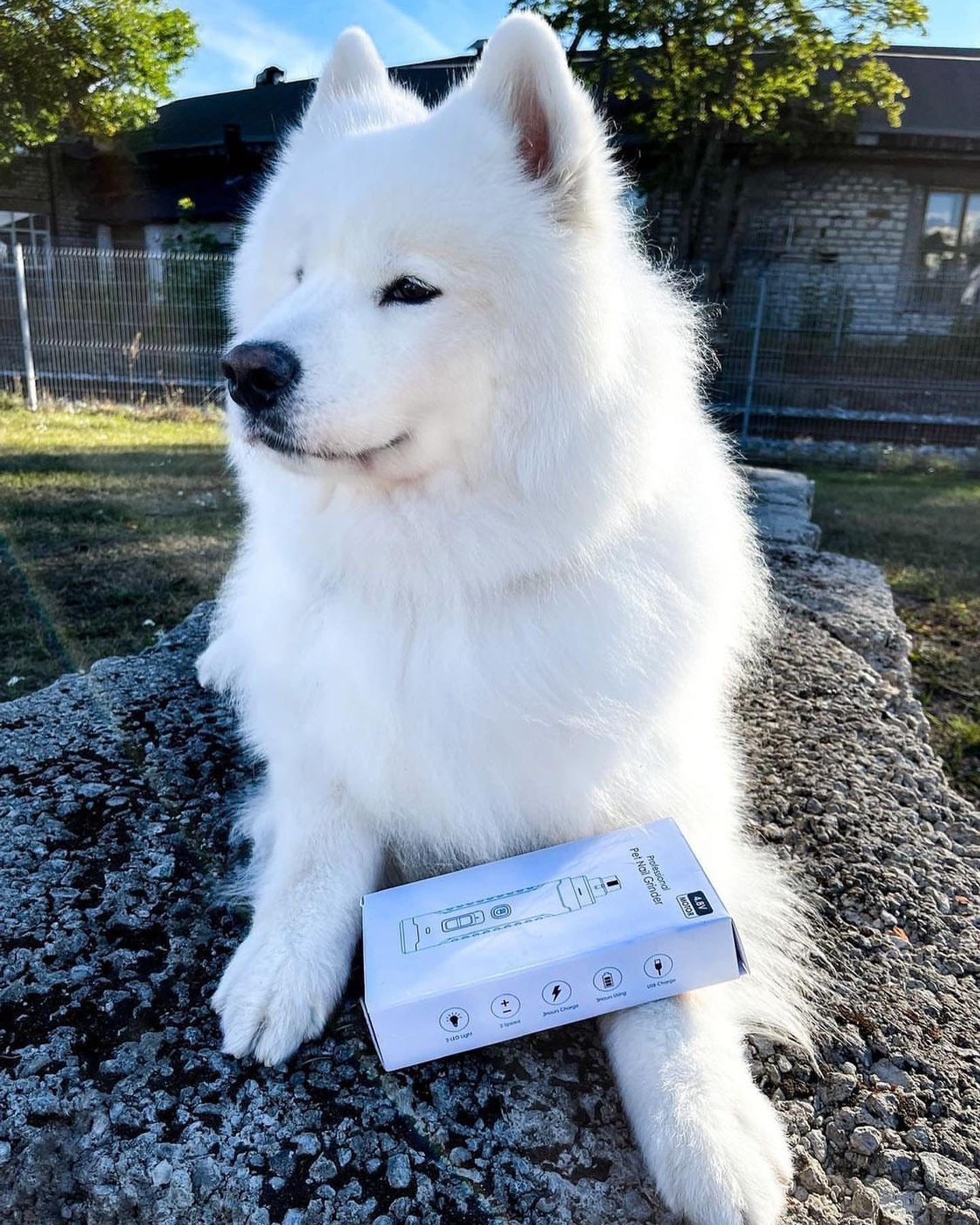 Küüneviil Patpet N50 PRO