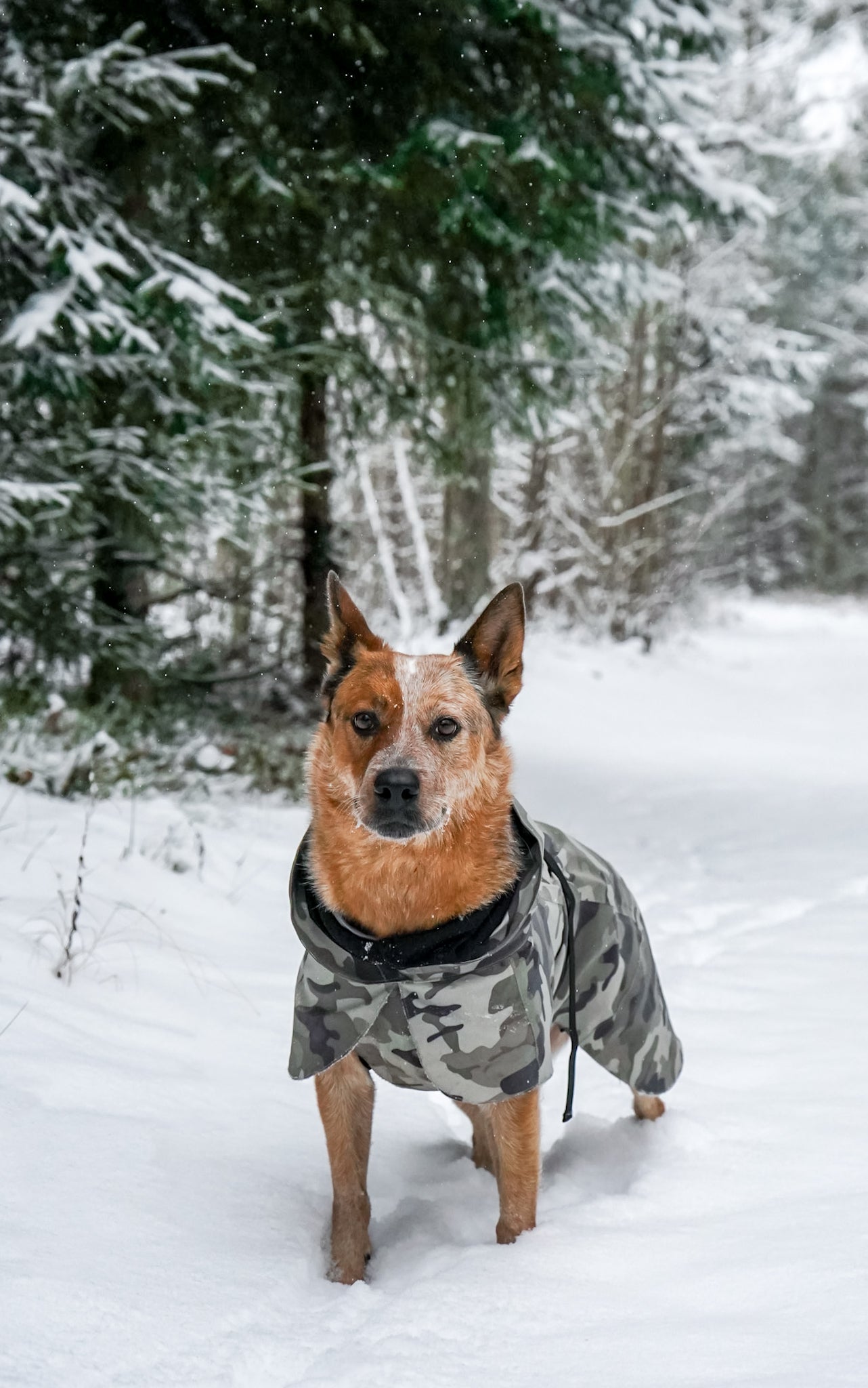 Vihmajope Recovery  PAIKKA camo