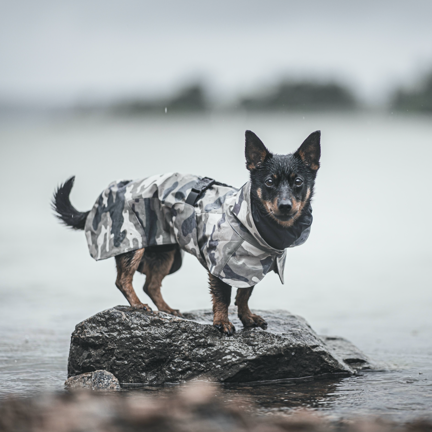 Vihmajope Recovery  PAIKKA camo